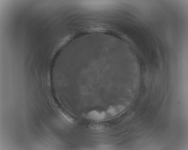 X0000062150729200512231531