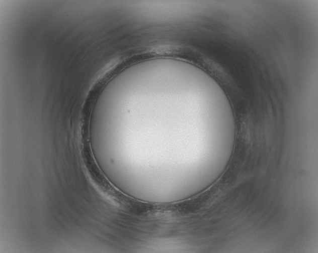 X0000062150730200512231531