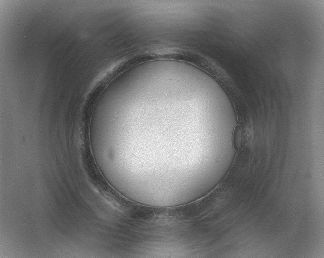 X0000062150732200512231531