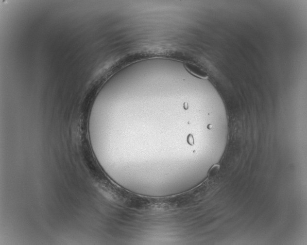 X0000062150736200512231532