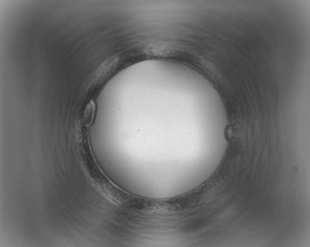 X0000062150738200512231532