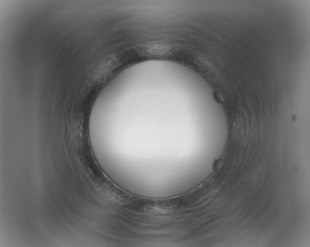 X0000062150739200512231532