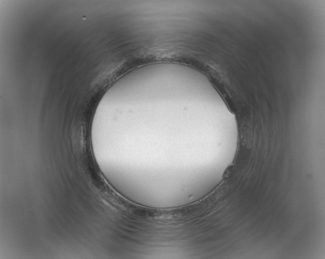 X0000062150740200512231532