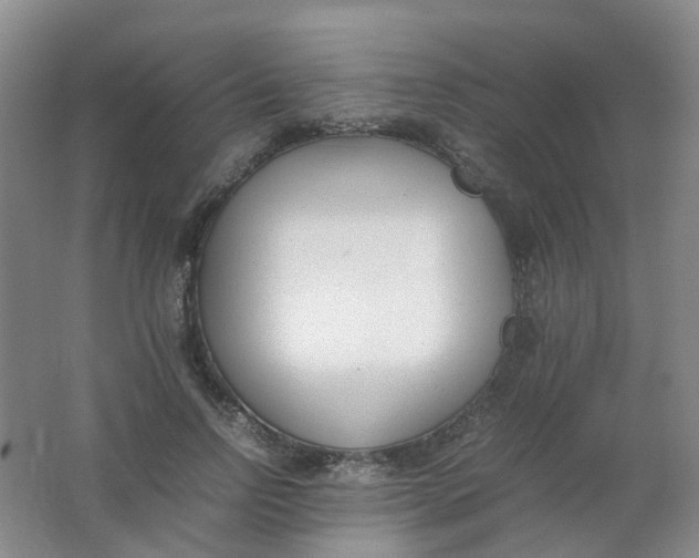 X0000062150742200512231532