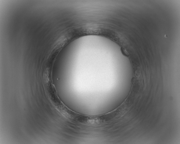 X0000062150744200512231532