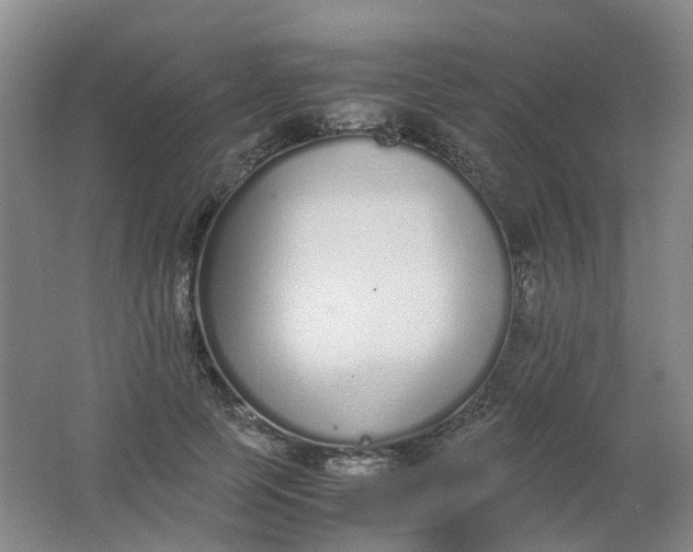 X0000062150745200512231532