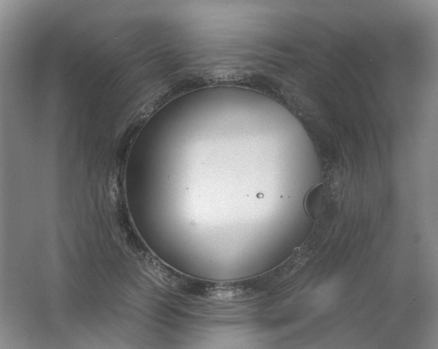 X0000062150746200512231532