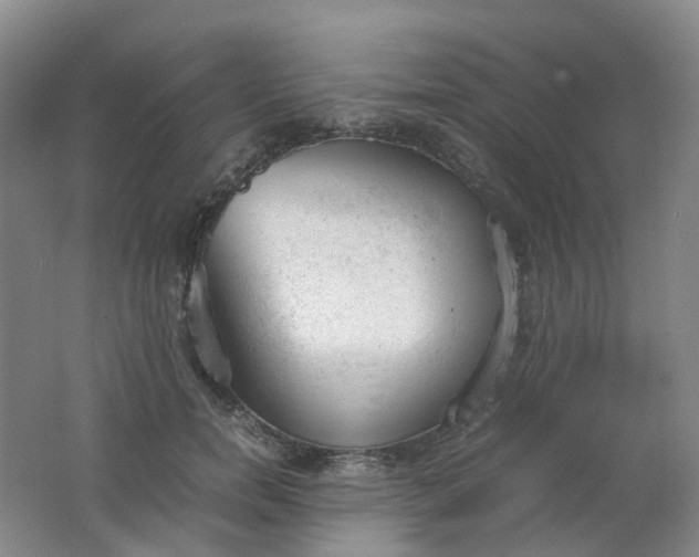 X0000062150750200512231532
