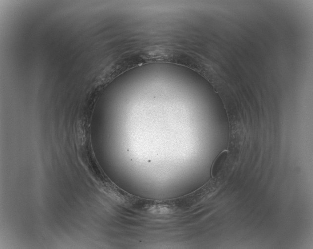 X0000062150751200512231532