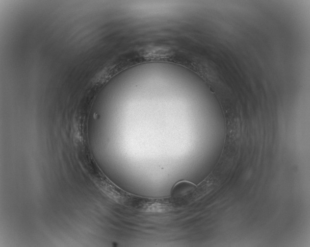 X0000062150755200512231532