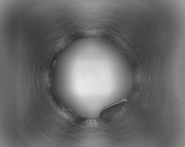 X0000062150764200512231532