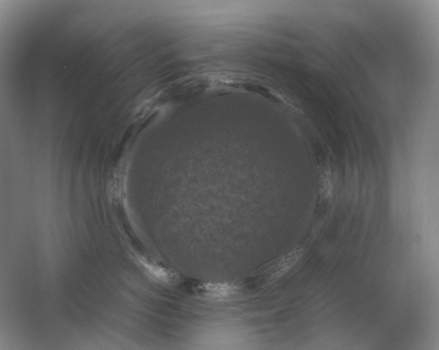 X0000062150766200512231532