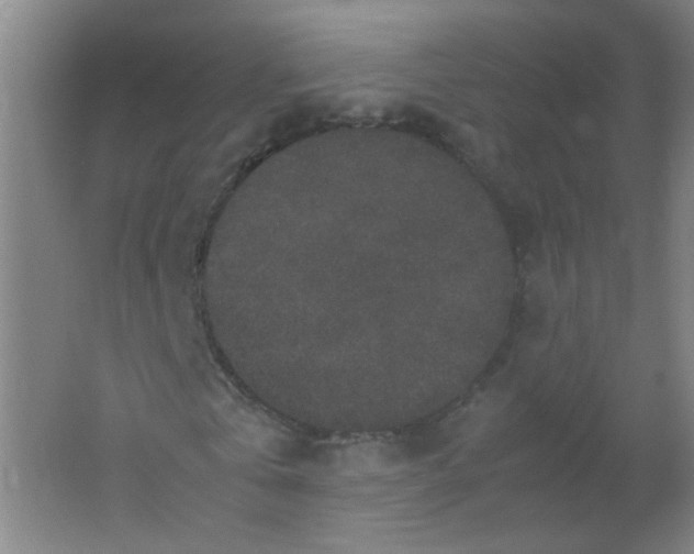 X0000062150769200512231531