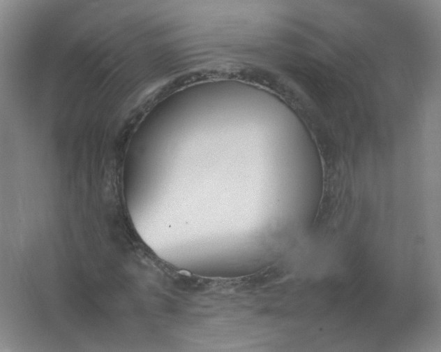 X0000062150773200512231531