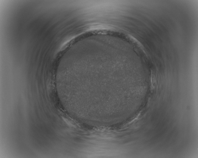 X0000062150775200512231531