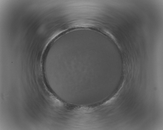 X0000062150779200512231531