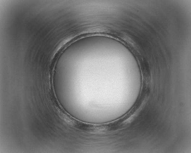 X0000062150781200512231531