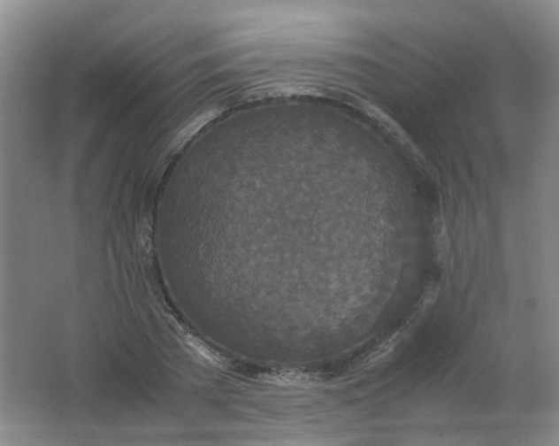 X0000062150785200512231531