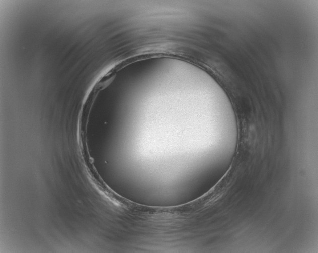 X0000062150788200512231531