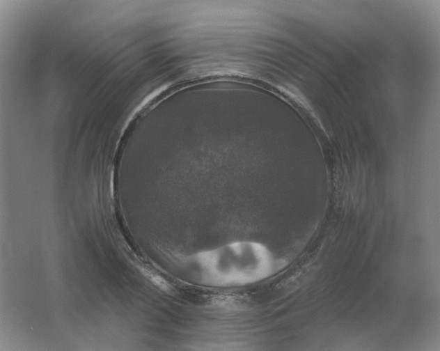 X0000062150790200512231531