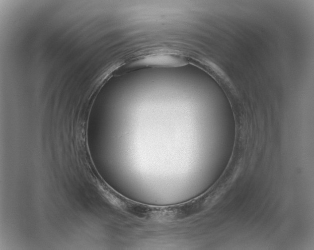 X0000062150793200512231531