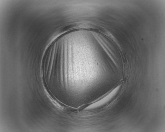 X0000062150795200512231531