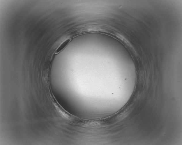 X0000062150801200512231531