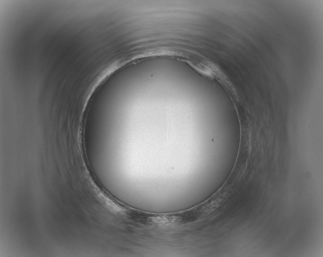 X0000062150805200512231531
