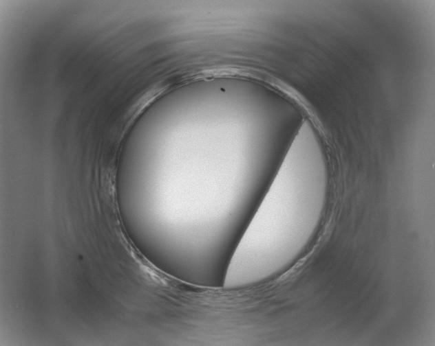 X0000062150809200512231531