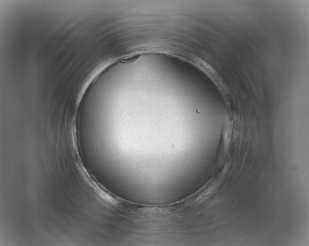X0000062150812200512231531