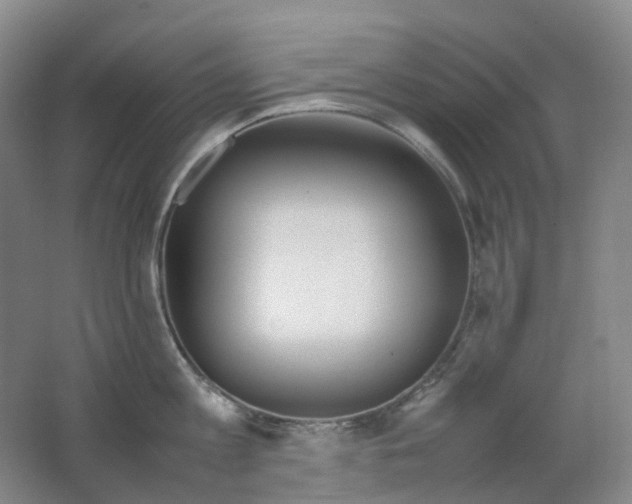 X0000062150813200512231530