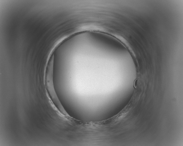 X0000062150815200512231530