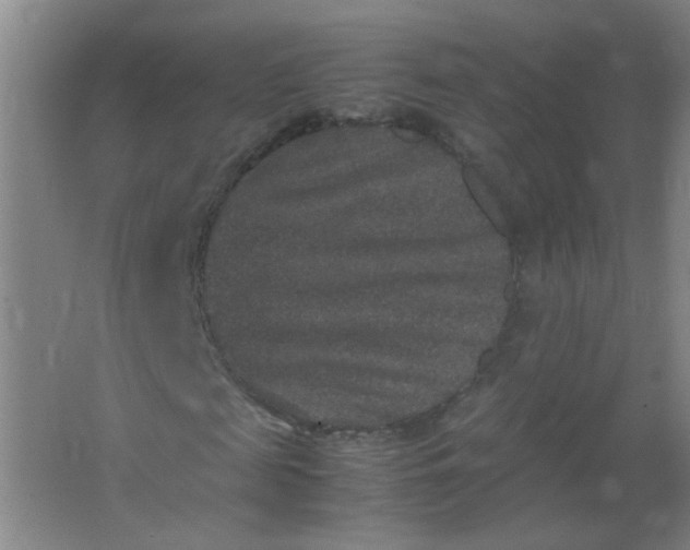 X0000062150817200512231530