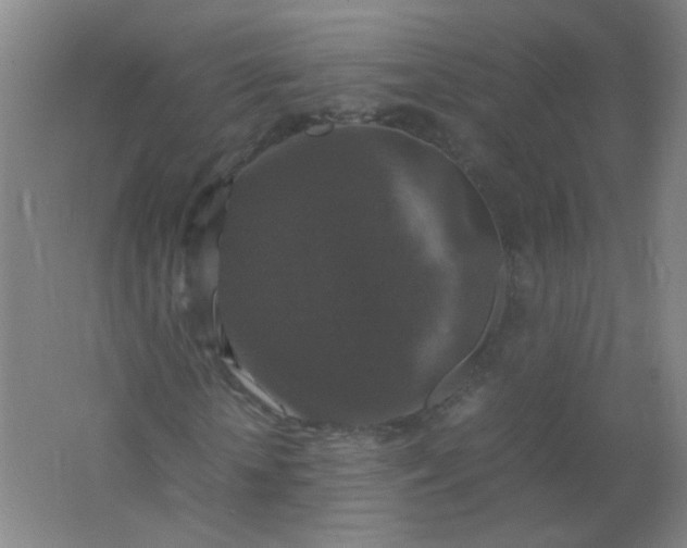 X0000062150818200512231530