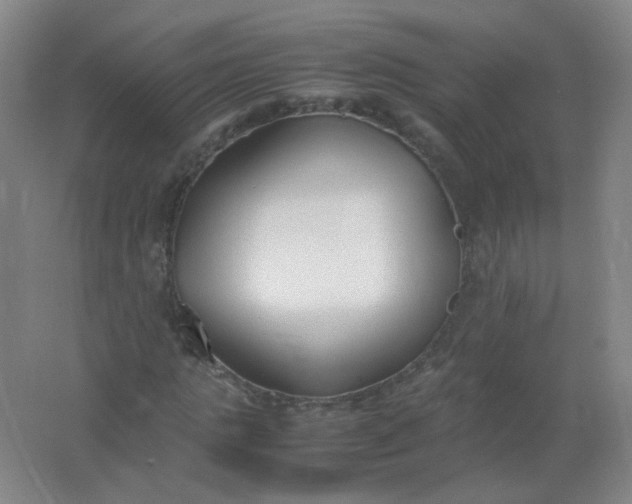 X0000062150821200512231530