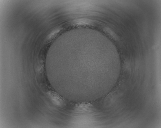 X0000062150824200512231530