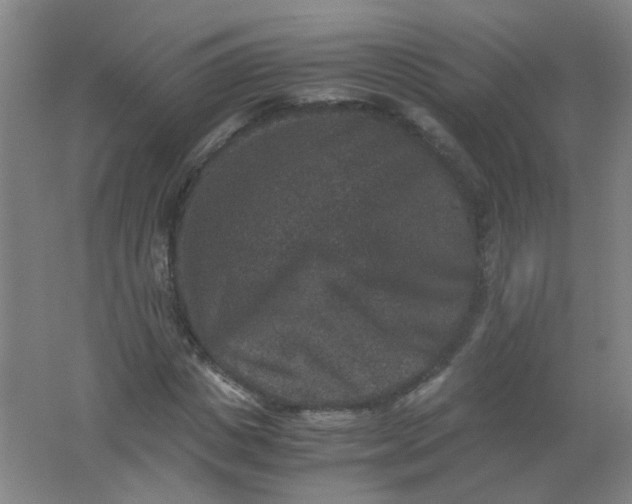 X0000062150825200512231530