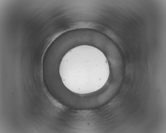 X0000062150836200512231530