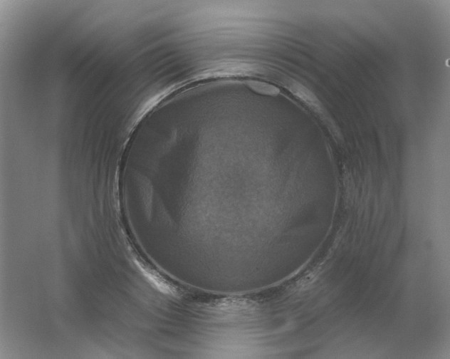 X0000062150842200512231530