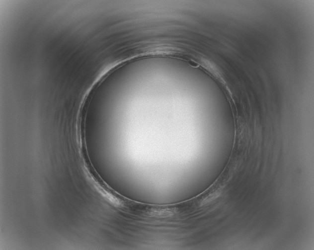 X0000062150843200512231530