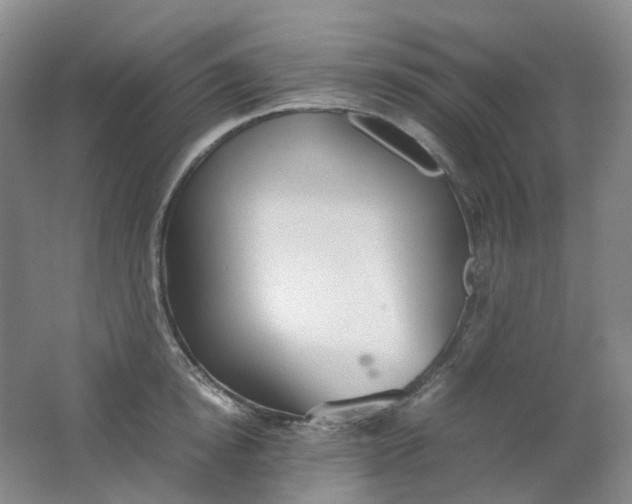 X0000062150854200512231530