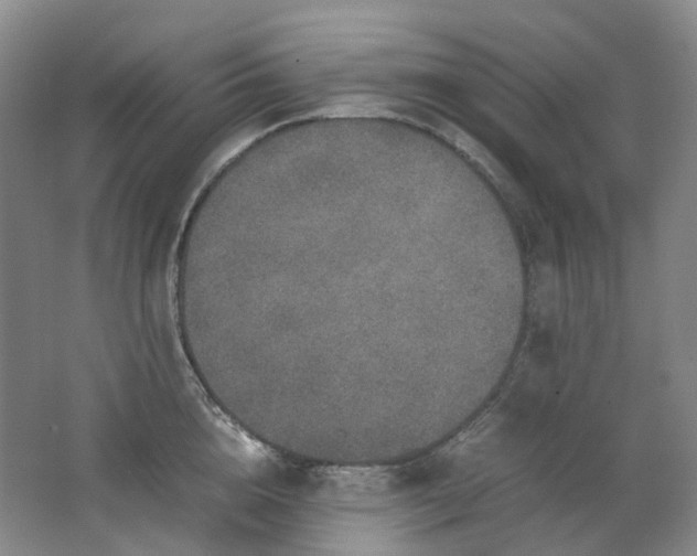 X0000062150856200512231530
