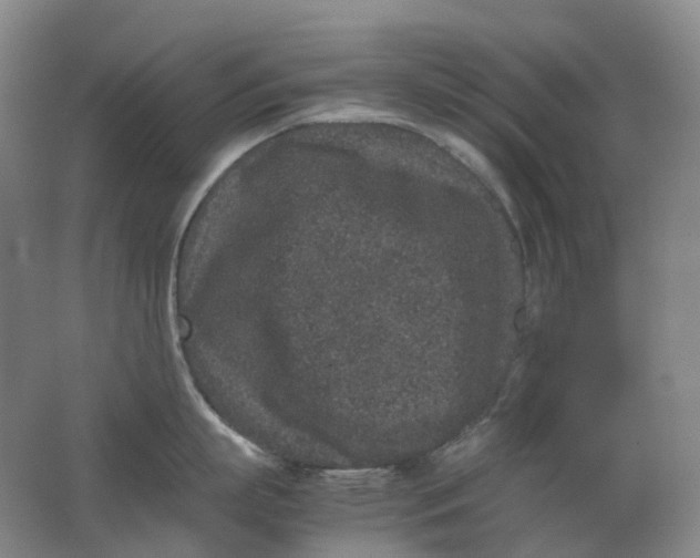 X0000062150863200512231530