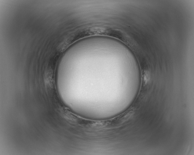 X0000062150867200512231530