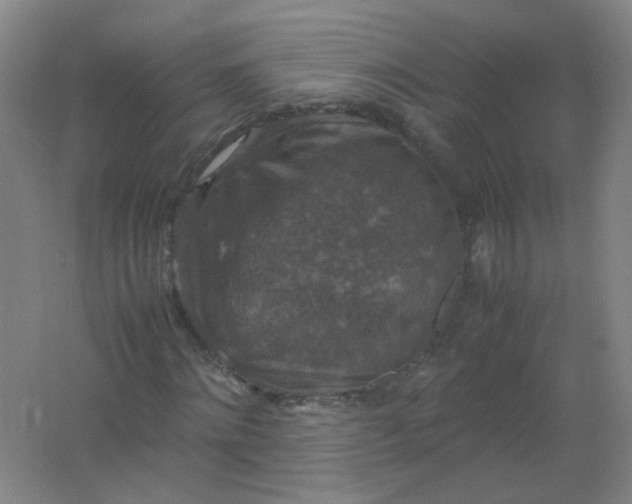 X0000062150868200512231530