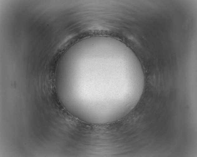 X0000062150870200512231529