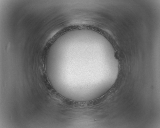 X0000062150871200512231529