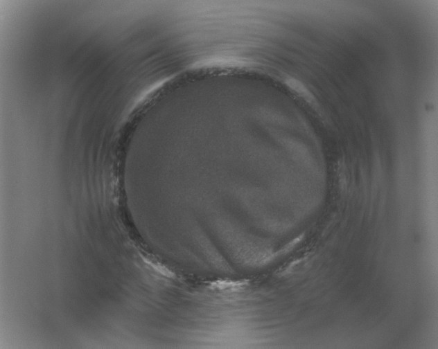 X0000062150872200512231529