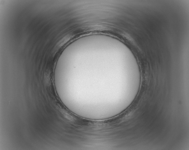X0000062150873200512231529