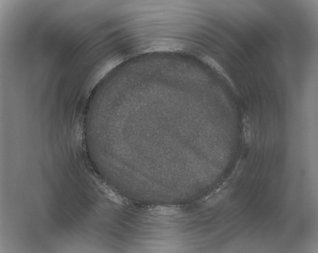 X0000062150874200512231529